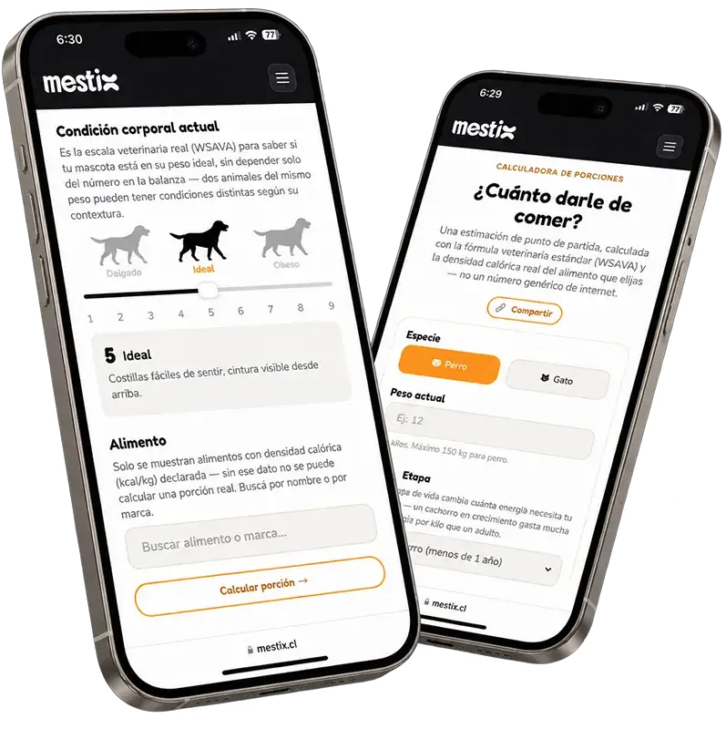 Calculadora de porciones Mestix en un teléfono