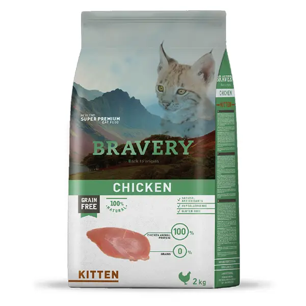 Bravery chicken kitten