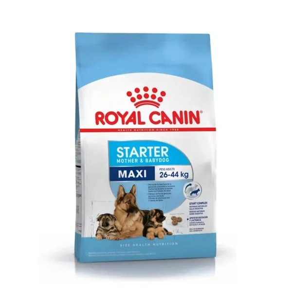 Royal Canin Maxi Starter