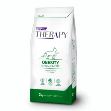 Vitalcan Therapy Gato Obesity Management